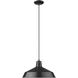 Alcove 1 Light 16 inch Matte Black Pendant Ceiling Light