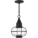 Newburyport 1 Light 9 inch Black Outdoor Pendant Lantern