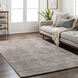 Helen 36 X 24 inch Grey Rug, Rectangle