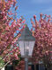 Exeter 3 Light 30 inch Charcoal Outdoor Post Top Lantern