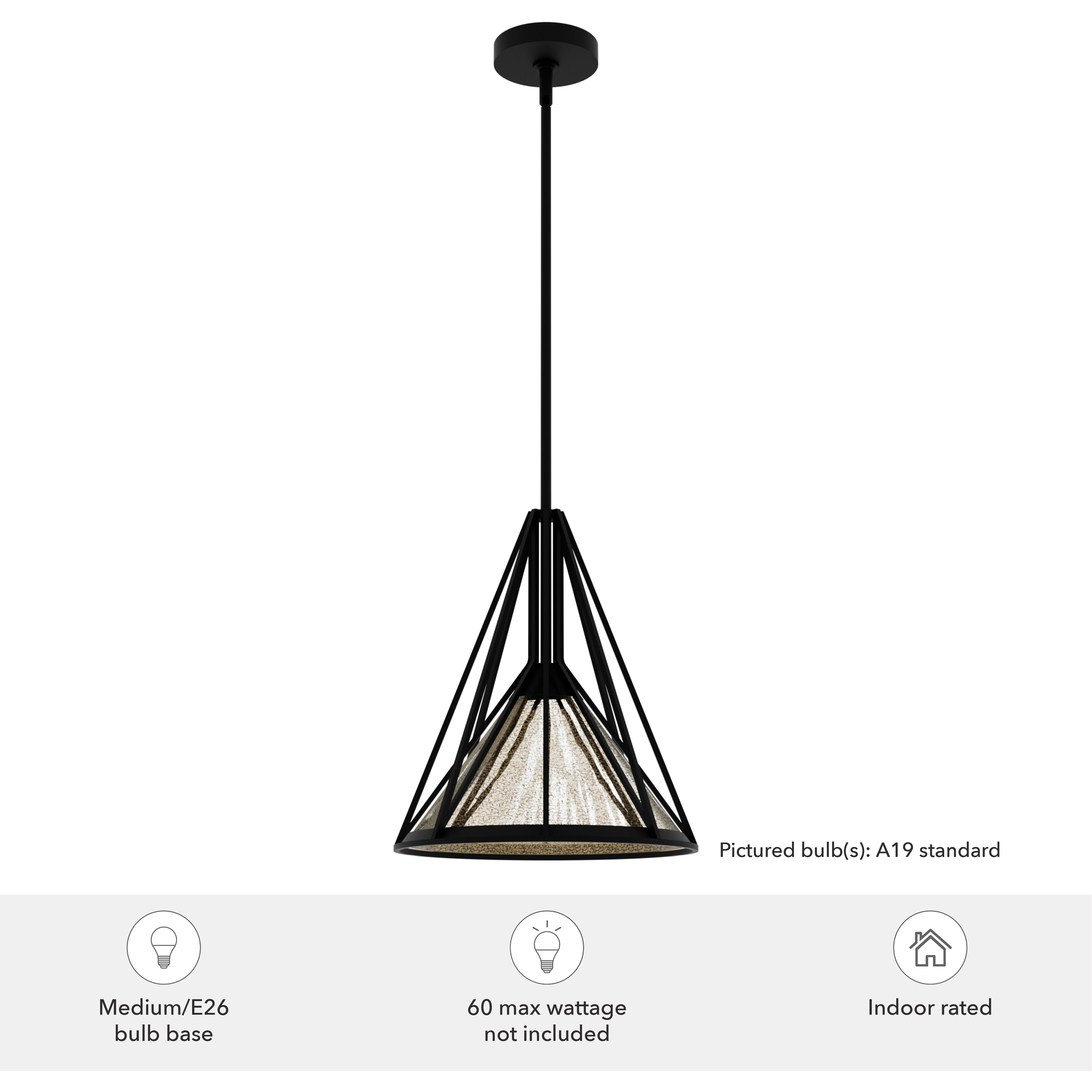 Rafner 1 Light 13 inch Natural Black Iron Pendant Ceiling Light, Medium