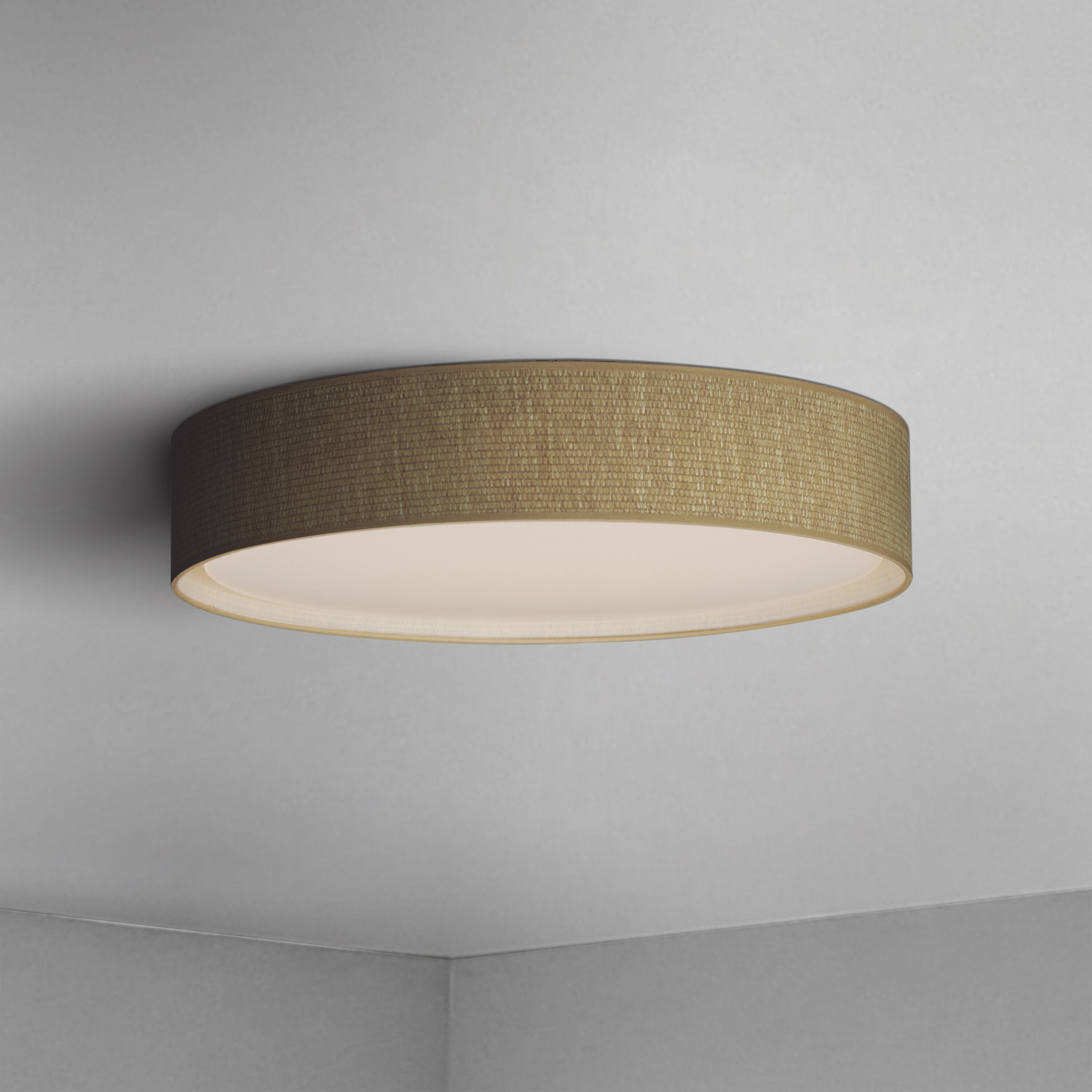 Prime LED 25 inch Flush Mount Ceiling Light