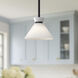 Alora Mood Halston Pendant Ceiling Light in Matte Black