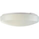 Ceiling Essentials 2 Light 14 inch White Flush Mount Ceiling Light
