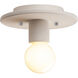 Radiance Collection 1 Light 8 inch Celadon Green Crackle Flush Mount Ceiling Light