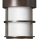 Saturn LED 10 inch Metro Bronze Outdoor Hanging Lantern