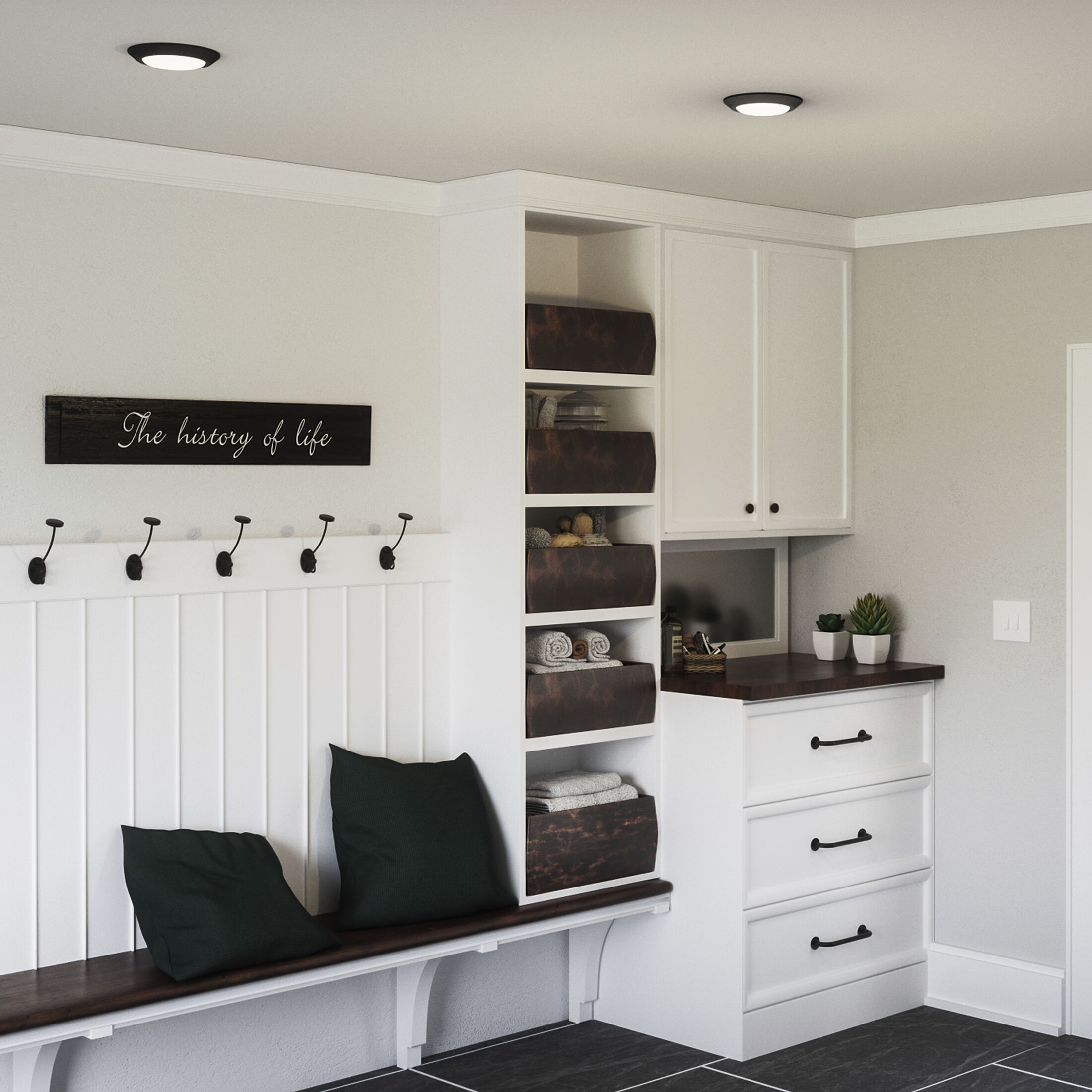 Verge 8 inch Earth Black Flush Mount Ceiling Light