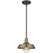 Burry 1 Light 10.25 inch Antique Brass Exterior Convertible Pendant