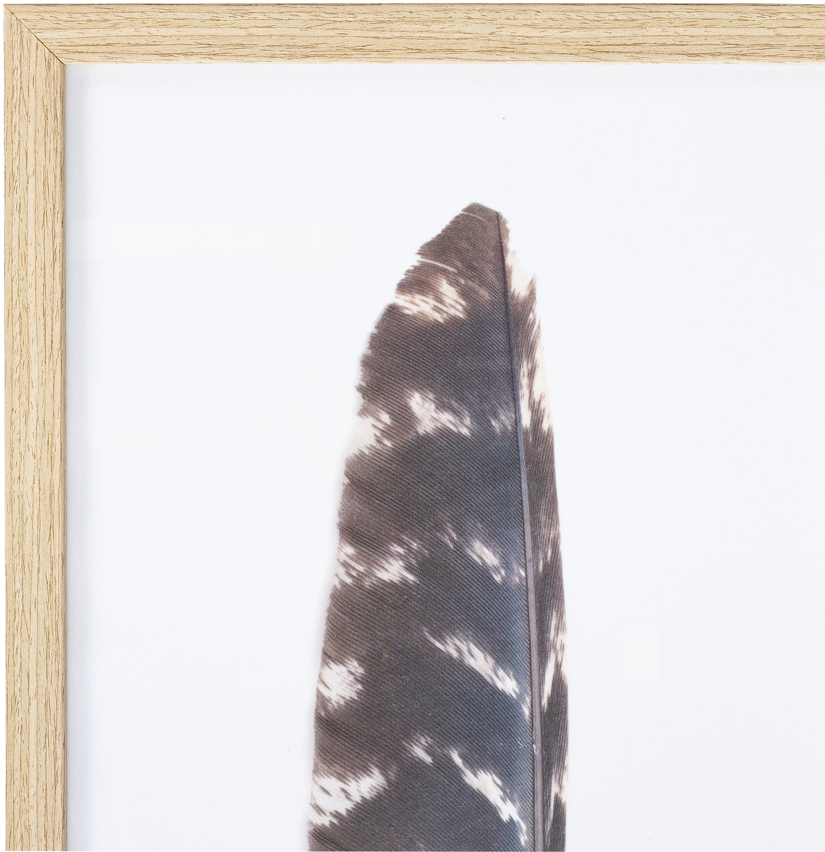 Kislay Tan Wall Art, Rectangle