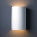 Ambiance Cylinder LED 12.5 inch Bisque Outdoor Wall Sconce, Large
