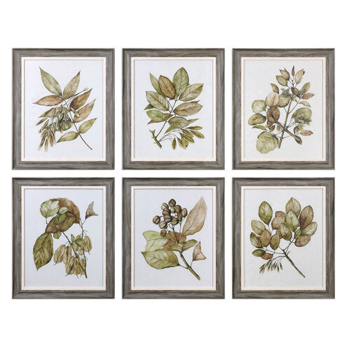 Seedlings 24 X 20 inch Art Prints