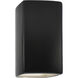 Ambiance Rectangle LED 7.25 inch Carbon Matte Black Wall Sconce Wall Light, Large
