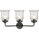Nouveau Canton LED 24 inch Oil Rubbed Bronze Bath Vanity Light Wall Light in Seedy Glass, Nouveau