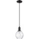 Arcadia Waverly 1 Light 6 inch Matte Black Mini Pendant Ceiling Light