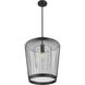 Lido 1 Light 18.5 inch Matte Black Pendant Ceiling Light