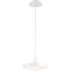 Sandstone LED 10 inch White Pendant Ceiling Light, Small