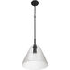 Pleated 1 Light 14 inch Flat Black Pendant Ceiling Light