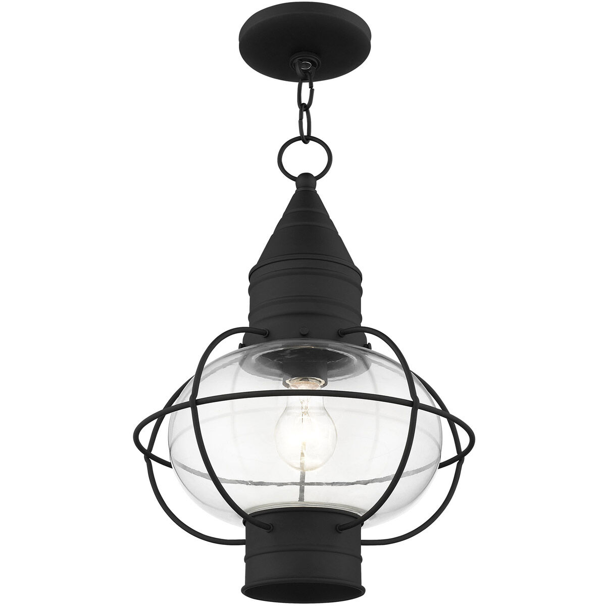 Newburyport 1 Light 12 inch Black Outdoor Pendant Lantern