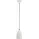 Arlington 1 Light 6 inch White with Brushed Nickel Accents Pendant Ceiling Light