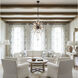 Orbital 20 Light 24 inch Carbon Pendant Ceiling Light