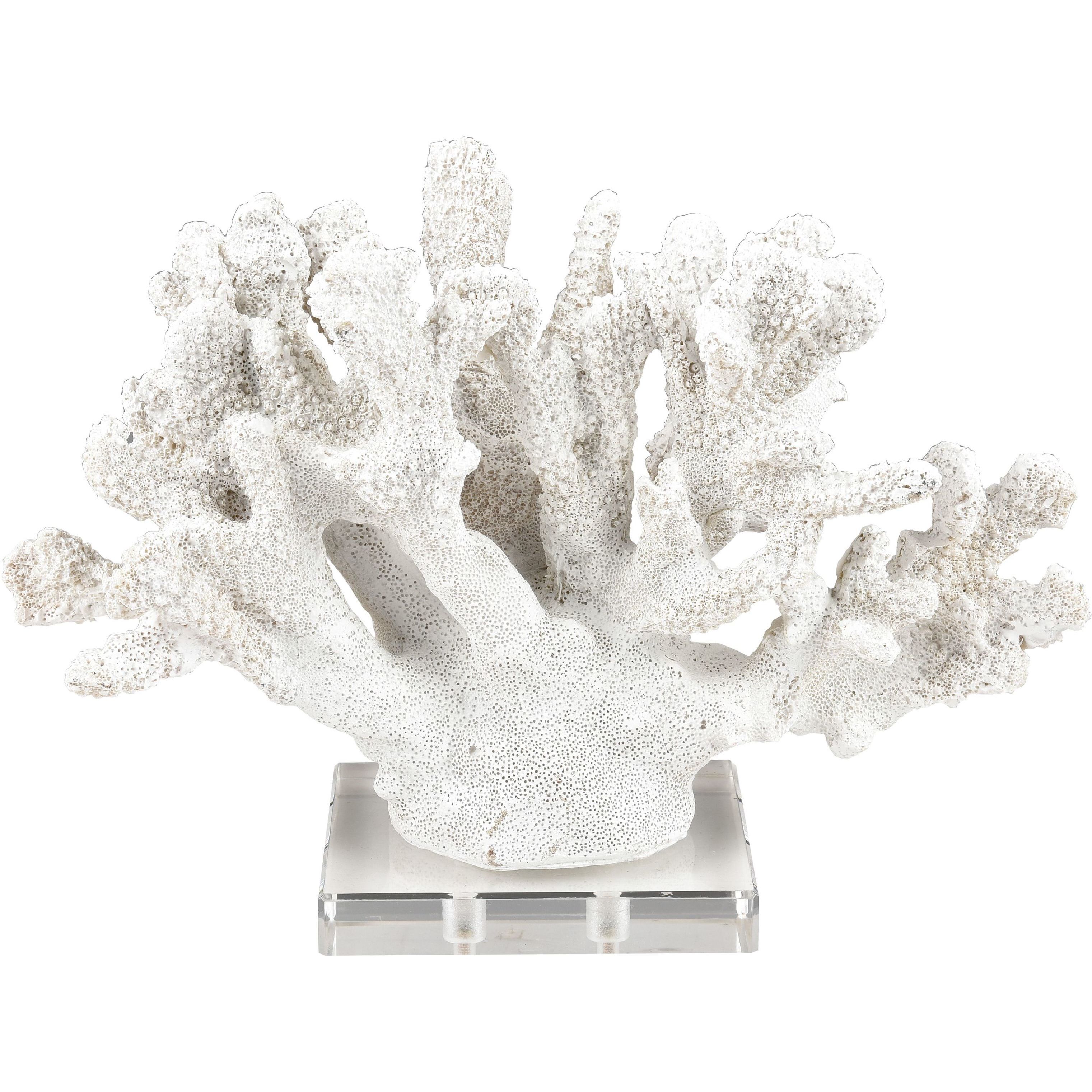 Coral 11.75 X 8.25 inch Sculpture, Set of 2