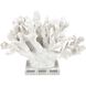 Coral 11.75 X 8.25 inch Sculpture, Set of 2