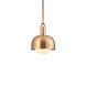 Forked LED 7.87 inch Brass Pendant Ceiling Light