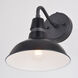 Buena Park LED 10 inch Black and Vintage Black with Matte White Inner Outdoor Wall
