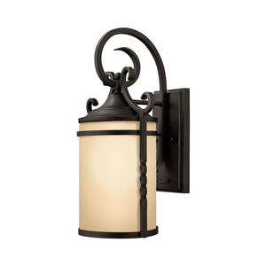 Casa Outdoor Wall Lantern in Light Etched Amber, Small