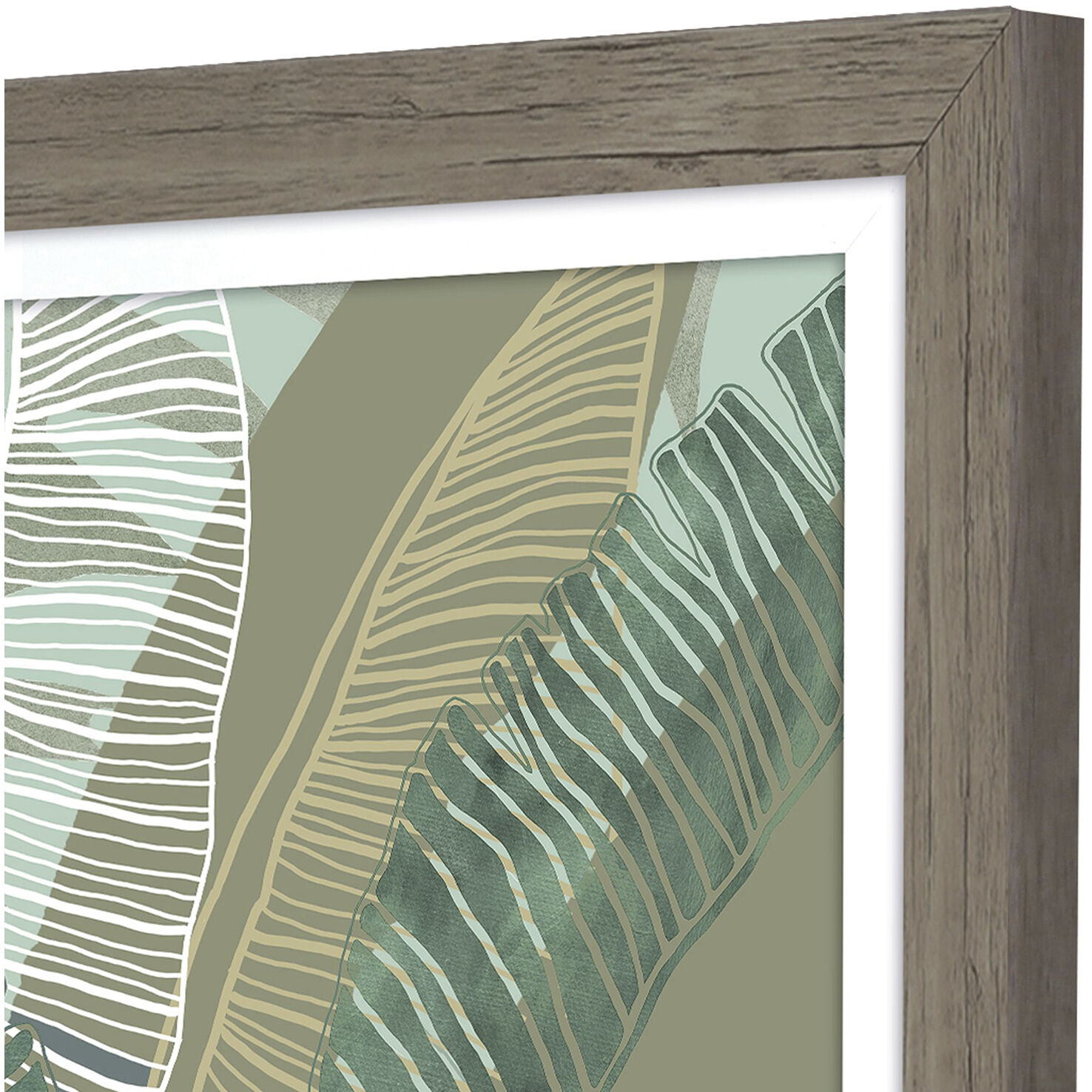Tropical Botanical 28 X 22 inch Non-Glass Framed Art, Propac