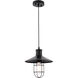 Flaneur 1 Light 11 inch Black Pendant Ceiling Light