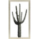 Saguaro Green and White Framed Art