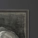 Lion Black and Gray and Metallic and Neutral Framed Art, The Studio