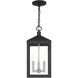 Nyack 3 Light 8.25 inch Black with Brushed Nickel Cluster Outdoor Pendant Lantern