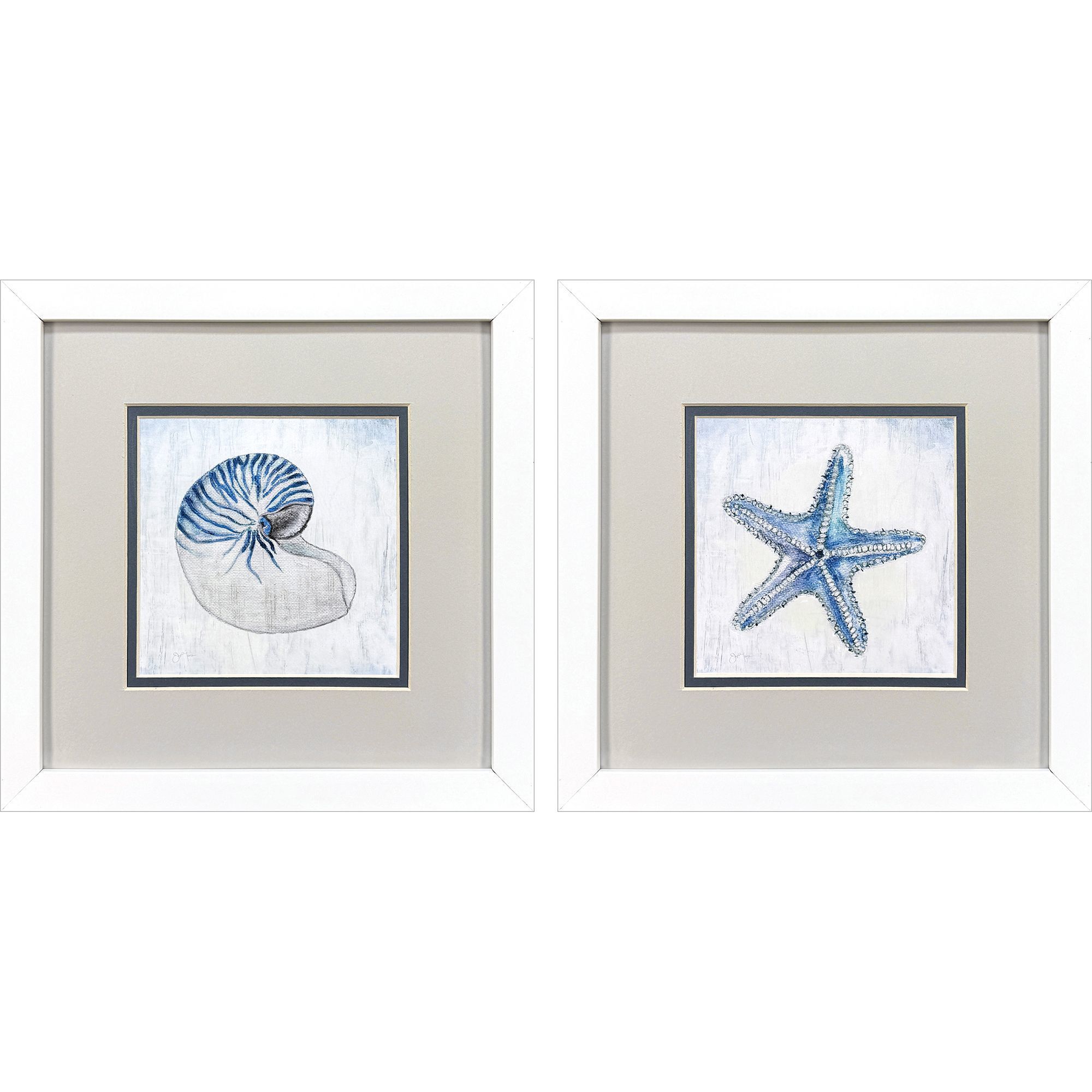 Azure Shell Blue and Gray Framed Art, Propac