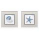 Azure Shell Blue and Gray Framed Art, Propac