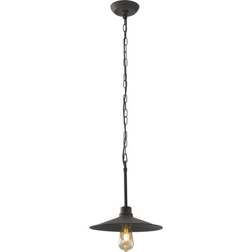 Clayton 1 Light 12 inch Dark Coffee Pendant Ceiling Light