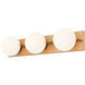 Parkview LED 24 inch Satin Brass Bathroom Light Wall Light
