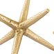 Star Jacks Polished Brass Decorative Object, Set of 3