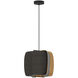 Alba LED 15.75 inch Black Pendant Ceiling Light in Ebony/Ash, WEP Collection