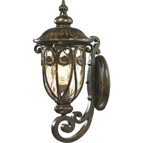 Logansport 1 Light 18 inch Hazelnut Bronze with Champagne Outdoor Sconce