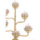 Agave Americana 8 Light 24.75 inch Dark Contemporary Gold Leaf Wall Sconce Wall Light, Marjorie Skouras Collection
