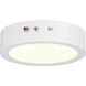 Slim LED 7 inch White Flush Mount Ceiling Light
