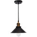 Renata LED 8 inch Black Pendant Lamp Ceiling Light