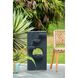 Anita Black Fountain