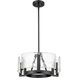 Aenon 16.5 inch 60.00 watt Matte Black Chandelier Ceiling Light