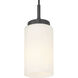 Iris 1 Light 4 inch Matte Black Pendant Ceiling Light