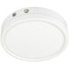 Luke LED 8 inch White Flush Mount Ceiling Light