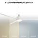 Gage 52 inch Matte White Downrod Ceiling Fan