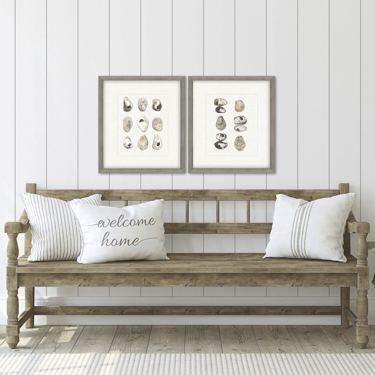 Oyster Shell Shell Series Beige and Neutral Framed Art